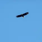 8 Person In Urangsvag-by Traum *